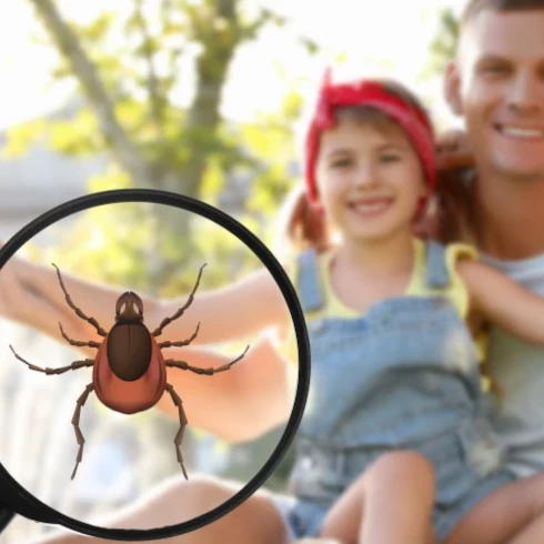 Pakiet badań w kierunku boreliozy