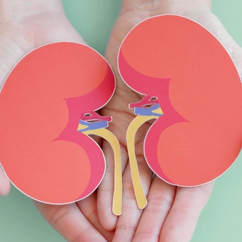 Pakiet badań – choroby nerek